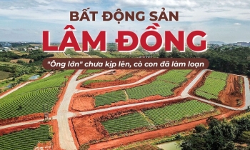 Emagazine: Bất động sản Lâm Đồng: “Ông lớn” chưa kịp lên, cò con đã làm loạn