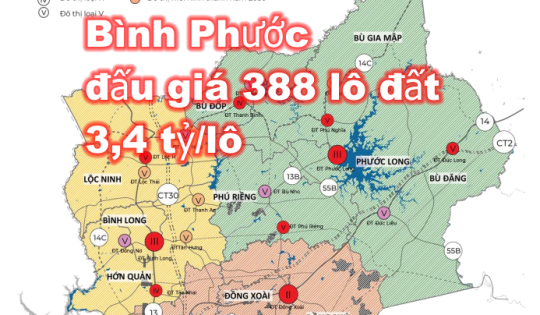 Đầu năm 2024, Bình Phước đấu giá 388 lô đất ở Hớn Quản, Phú Riềng, Bù Gia Mập và Bù Đốp