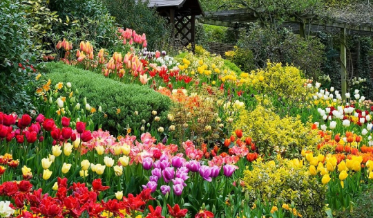 Điểm đến trong nước được yêu thích dịp Tết Giáp Thìn 2024