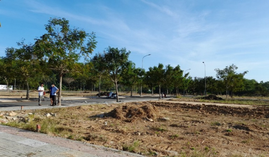 Bất động sản 24h: Đồng Nai sẽ chuyển mục đích sử dụng hàng ngàn ha đất nông nghiệp