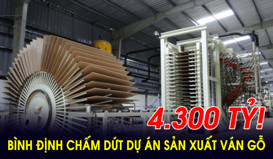 Bình Định chấm dứt dự án sản xuất ván gỗ hơn 4.300 tỷ tại thị xã Hoài Nhơn