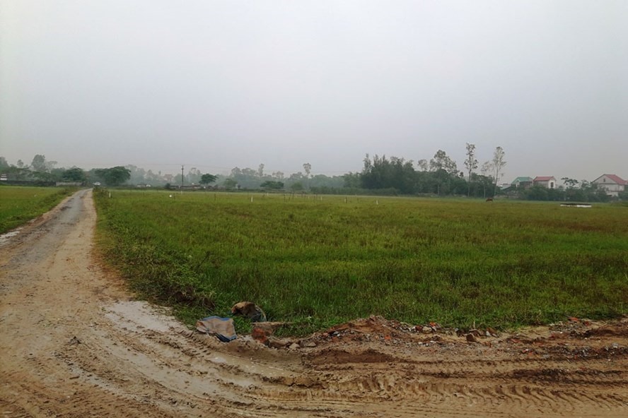 Đề xuất trình tự xác định giá bồi thường khi Nhà nước thu hồi đất từ 01/7/2024