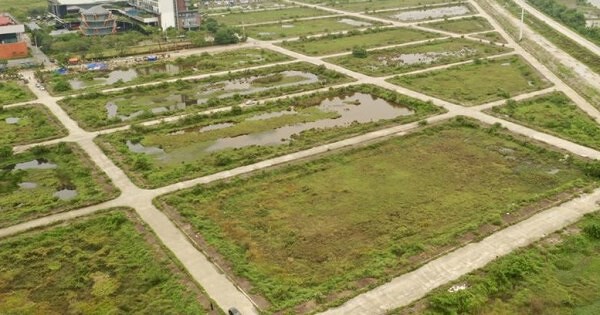 Ninh Bình đấu giá 6 lô đất tại khu dân cư Tân Nhất, giá khởi điểm chỉ từ 8 triệu đồng/m2