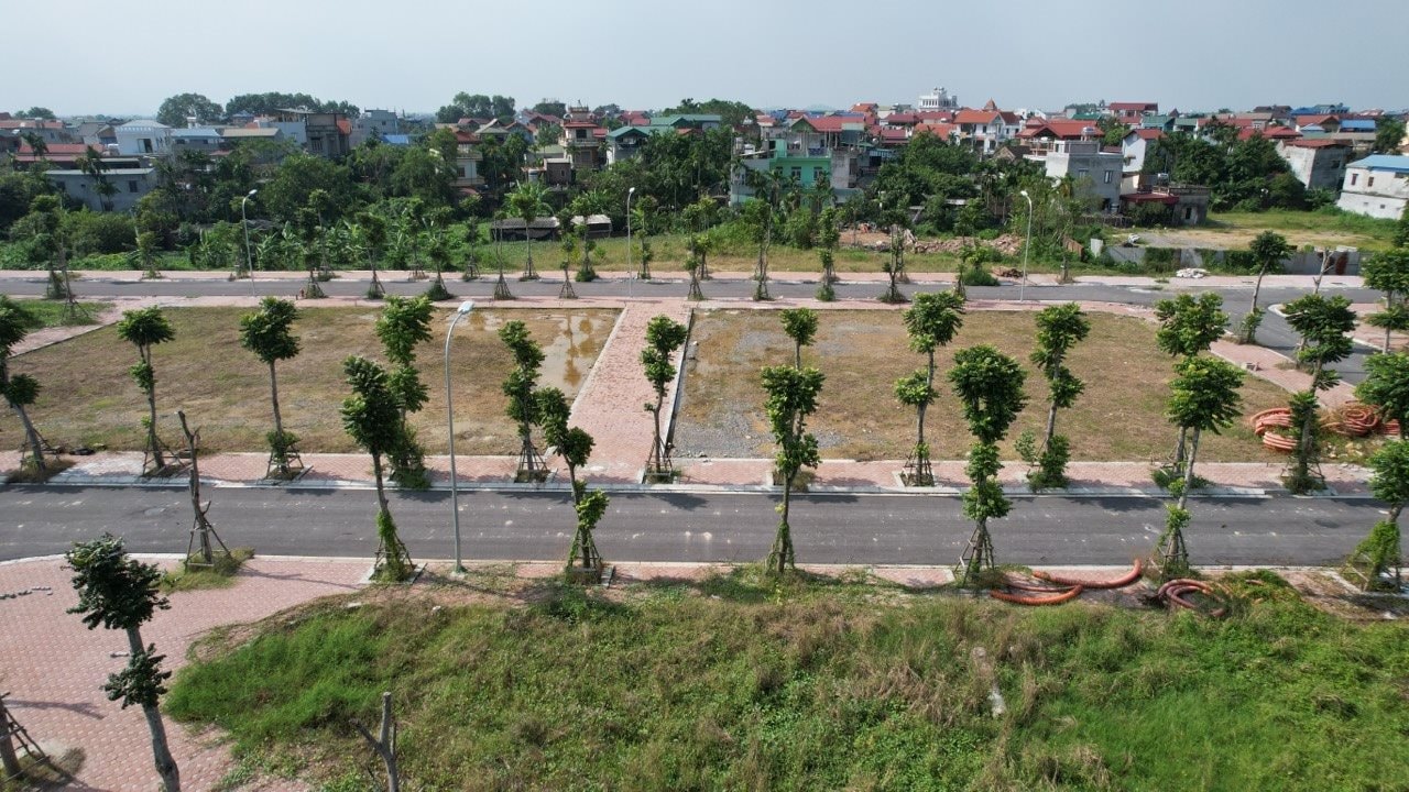Hưng Yên đấu giá 63 suất đất tại xã Hoàng Hoa Thám, giá khởi điểm từ 7 triệu đồng/m2