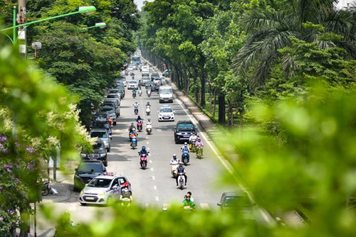 Hà Nội di chuyển, chặt hạ hơn 2.600 cây xanh để làm nút giao Vành đai 3,5 – Đại lộ Thăng Long