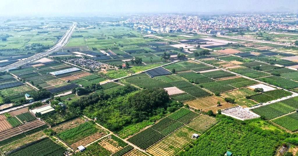 Hưng Yên sắp đấu giá 51 suất đất ở, giá khởi điểm từ 11 triệu đồng/m2