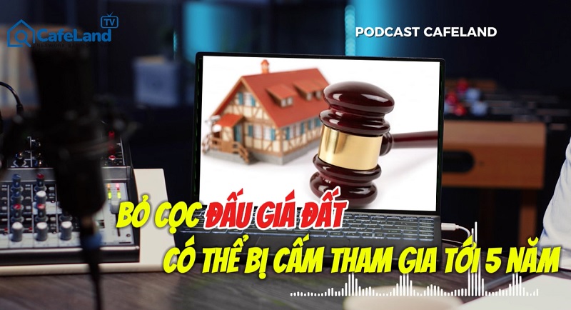 BỎ CỌC ĐẤU GIÁ ĐẤT: Phải bồi thường? Liệu có đủ sức răn đe thao túng giá?