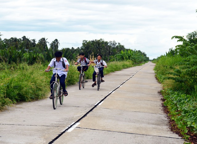 Cà Mau chuyển mục đích sử dụng 21 ha rừng để làm dự án đê biển Tây