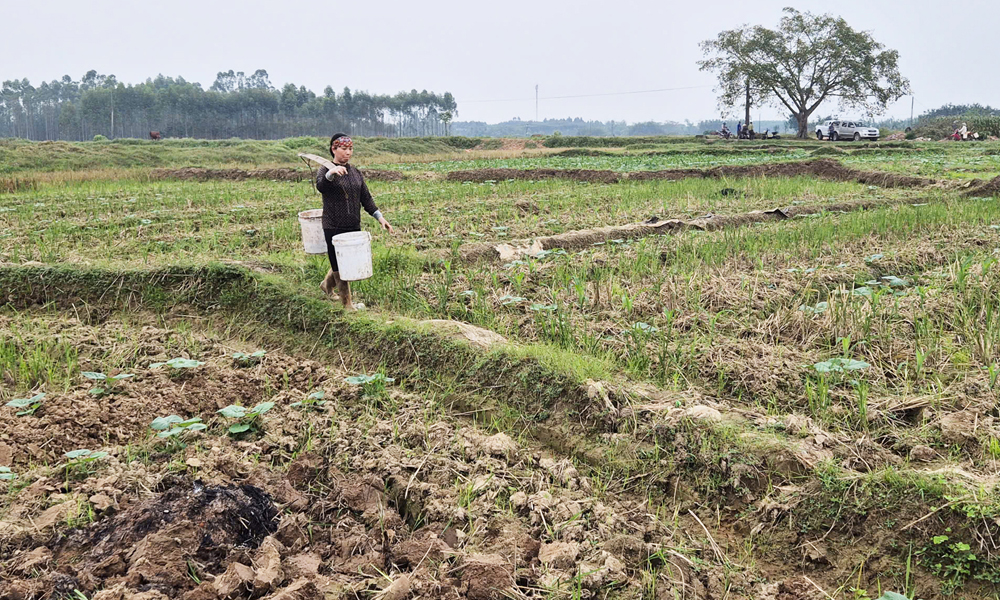Phấn đấu hoàn thành giải phóng mặt bằng Khu công nghiệp Mỹ Thái giai đoạn 1 trong tháng 12