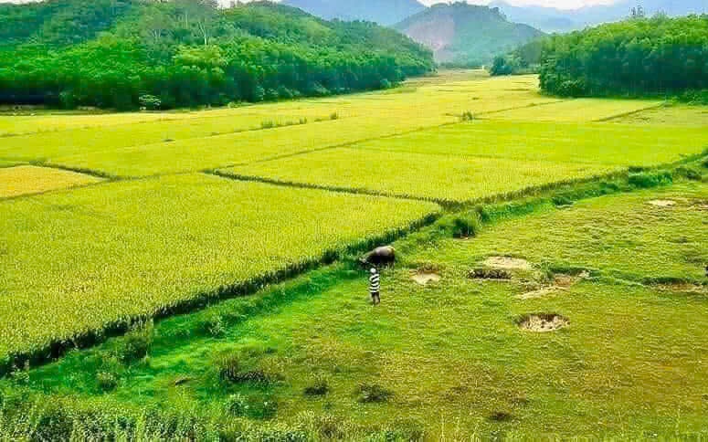 Hà Nội lập Hội đồng quản lý Quỹ phát triển đất