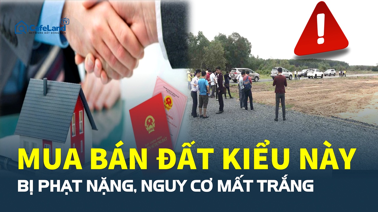 Giao dịch đất chưa có SỔ ĐỎ: Cái bẫy khiến nhiều người trắng tay