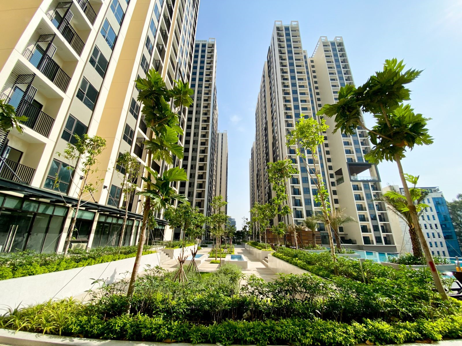 Hà Đô khẳng định sẵn tiền mặt để săn dự án bất động sản tốt