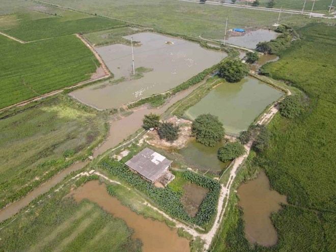 Bắc Ninh phê duyệt nhà đầu tư khu đô thị Nhân Hòa