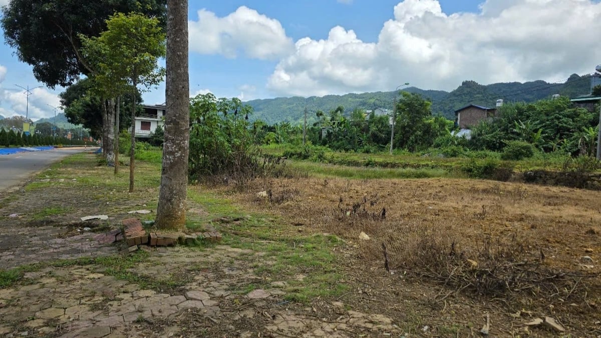 Lai Châu sắp đấu giá khu đất 3,47 ha, giá khởi điểm hơn 61 tỷ đồng