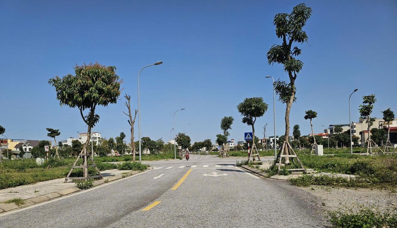 Hải Phòng giao hơn 4.600 m2 đất xây dựng 230 căn nhà ở xã hội tại phường Lê Thanh Nghị
