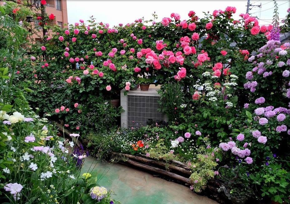 Vườn hoa sân thượng đẹp cho nhà phố