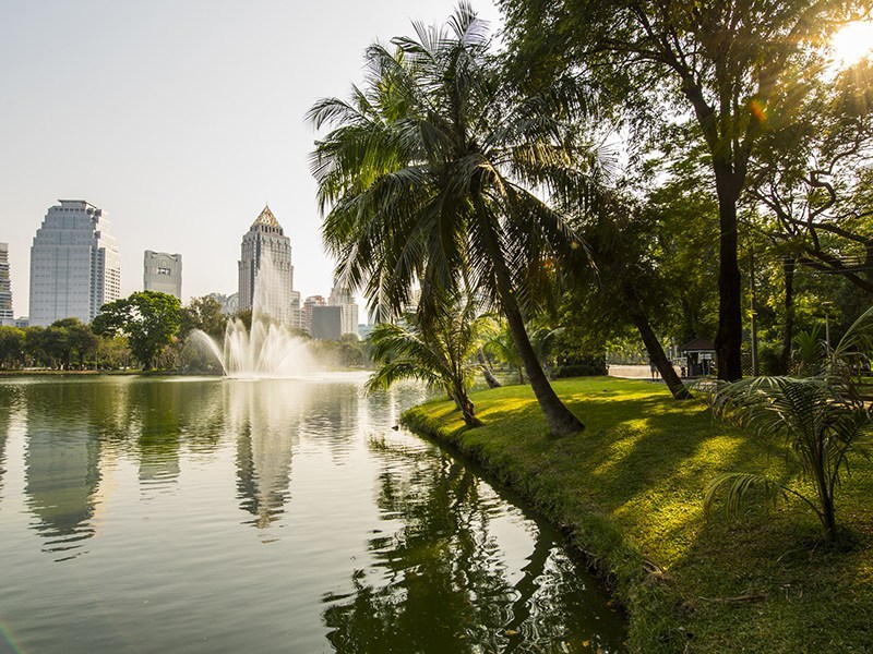 Công viên Lumpini xinh đẹp gần đó mang đến cho cư dân một không gian xanh để thưởng thức sự bình yên, chạy bộ hoặc chèo thuyền trên hồ nước thanh bình. Hình: Getty.