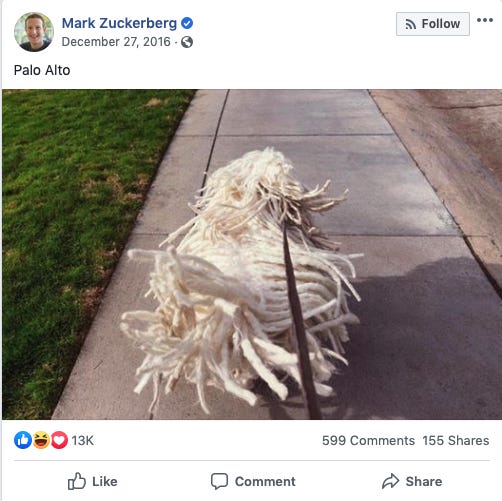 Mark từng khoe chú chó giống "chổi lau nhà" trên Facebook.