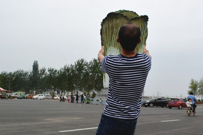 Một khách du lịch đang chụp với tượng bắp cải tại thị trấn Hàm Đan, Hà Bắc