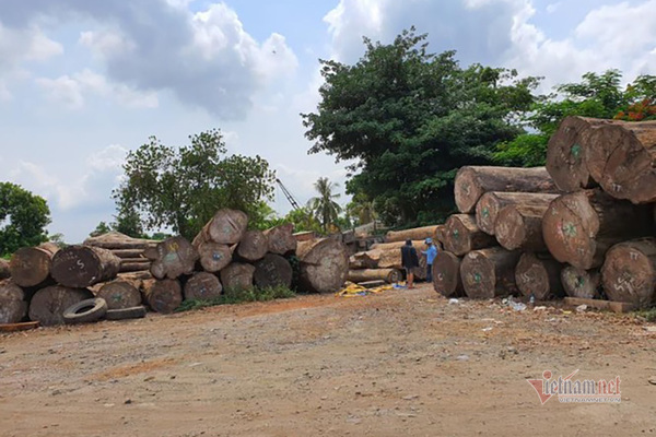 Đất dự án công viên văn hoá được cho thuê làm xưởng gỗ, bãi xe container.