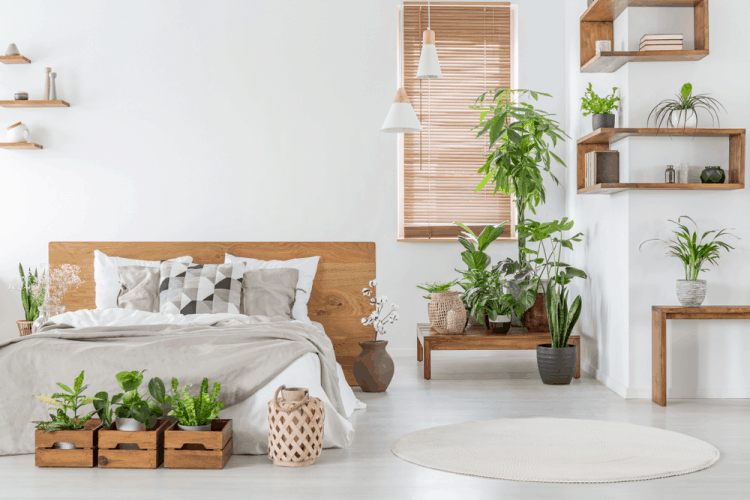 Ý tưởng trang trí phòng ngủ bằng cây xanh độc đáo - CafeLand.Vn