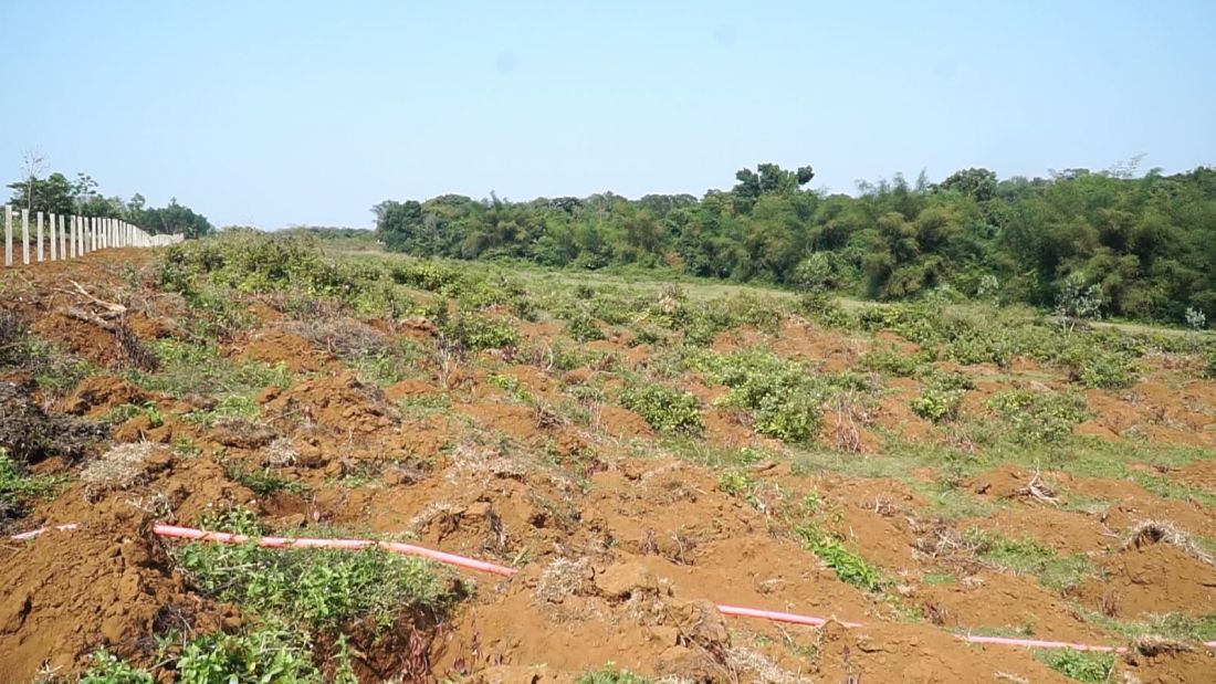 Công ty dịch vụ du lịch Sông Hiền bị xử phạt hơn 300 triệu đồng vì phá rừng trái pháp luật