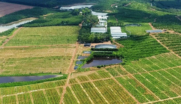 Bất động sản Farmstay KỲ I Từ mô hình trang trại đến các hợp đồng đầu tư   Bất động sản