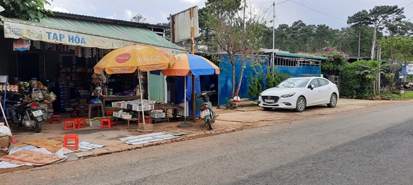 Đà Lạt: Những người giữ rừng làm nhà ở …trên đất rừng ?