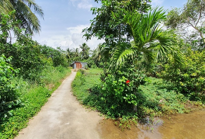 Dự án trăm tỷ ở Bạc Liêu ì ạch suốt 7 năm Dự án trăm tỷ ở Bạc Liêu ì ạch suốt 7 năm - Ảnh 2