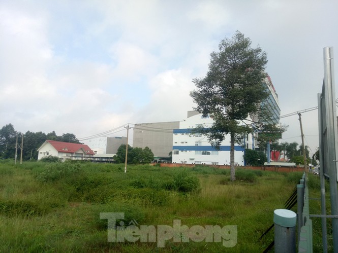 Bình Dương sắp đấu giá đất công: ‘Bỏ một lời mười’ - ảnh 4