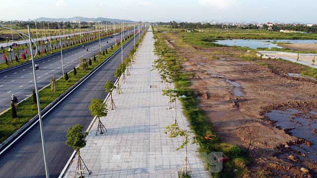 Cận cảnh cây cầu Cánh chim biển của thành phố Hải Phòng - Ảnh 9. Cận cảnh cây cầu Cánh chim biển của thành phố Hải Phòng - Ảnh 9.