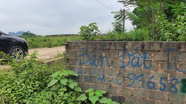 "Sốt" đất Đồng Chanh: Dân Hà Nội xếp hàng chờ chủ đất... bỏ vợ, bán nhà! sot dat dong chanh dan ha noi xep hang cho chu dat bo vo ban nha
