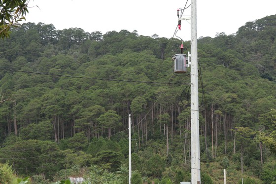 Hàng chục căn nhà xây dựng trái phép giữa đất rừng ở Lâm Đồng ảnh 8