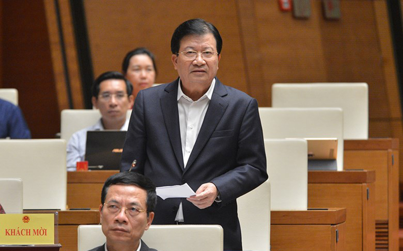 Quy hoạch treo do làm theo phong trào