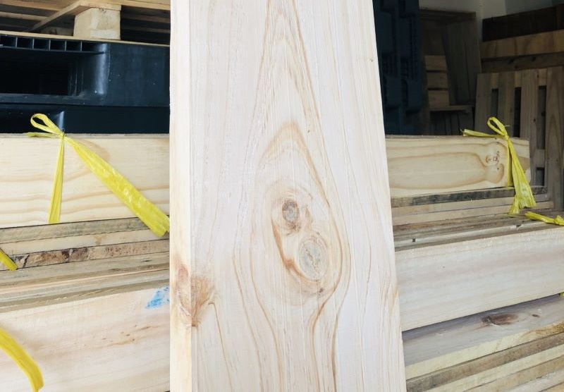Phân loại gỗ thông