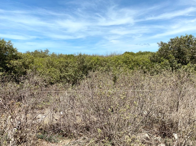 Bà Rịa - Vũng Tàu bác ý kiến chỉ đạo bồi thường 5,4 ha đất của Chính phủ? - 1 Bà Rịa - Vũng Tàu bác ý kiến chỉ đạo bồi thường 5,4 ha đất của Chính phủ? - 1