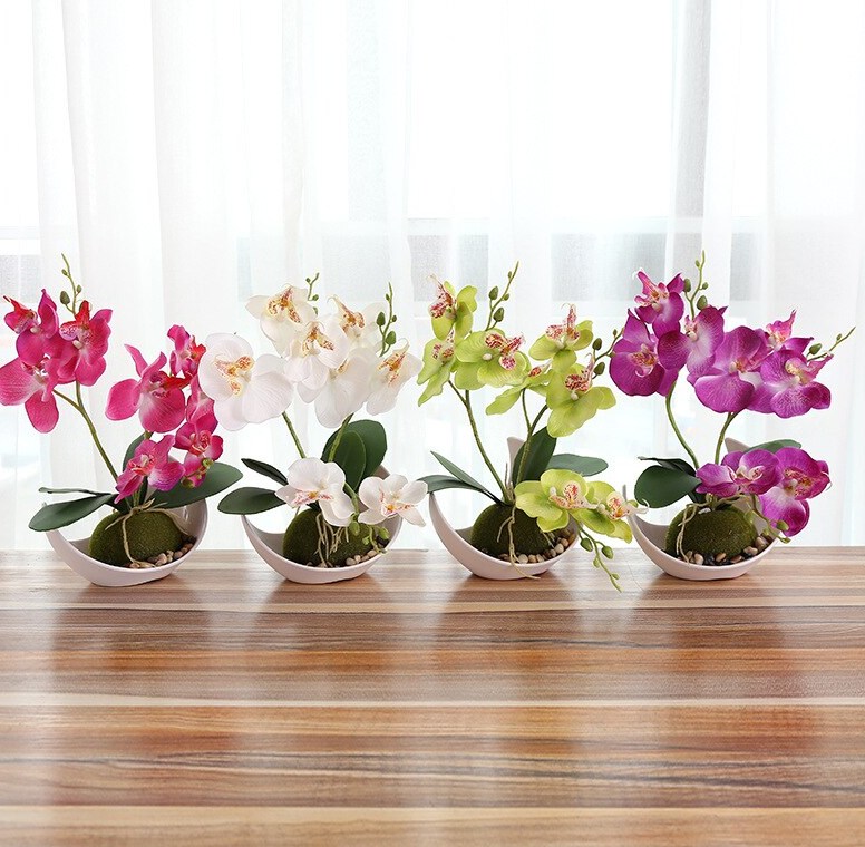 Ý nghĩa phong thủy cây lan hồ điệp Cây được phân thành hai loại lan hồ điệp rừng và lan hồ điệp công nghiệp