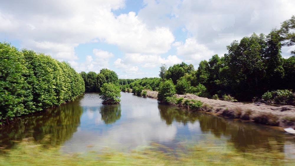 5 lĩnh vực để phát triển thương hiệu du lịch Đồng bằng sông Cửu Long 5 linh vuc de phat trien thuong hieu du lich dong bang song cuu long