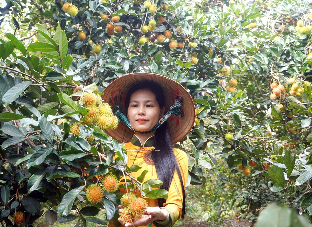 5 lĩnh vực để phát triển thương hiệu du lịch Đồng bằng sông Cửu Long 5 linh vuc de phat trien thuong hieu du lich dong bang song cuu long