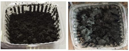 Các giải pháp thúc đẩy phát triển VLXD mới, thân thiện môi trường nhằm hướng tới phát triển bền vững cac giai phap thuc day phat trien vlxd moi than thien moi truong nham huong toi phat trien ben vung