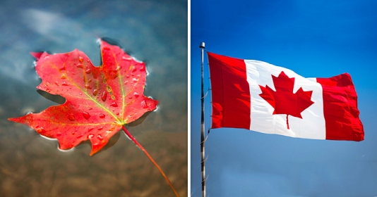 Lá phong đỏ chót, hình tượng của những người dân Canada