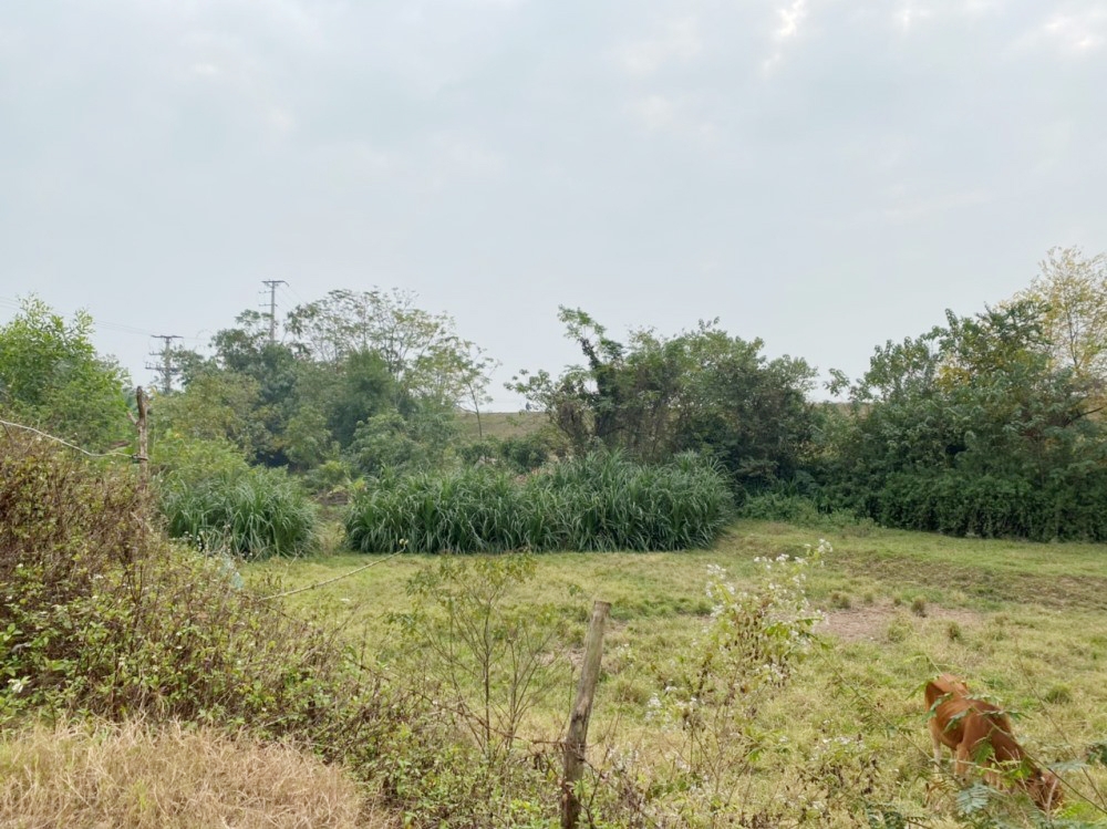 vinh tuong vinh phuc cuong che thu hoi dat thuc hien cong trinh nang cap tuyen duong giao thong thuong trung tuan chinh