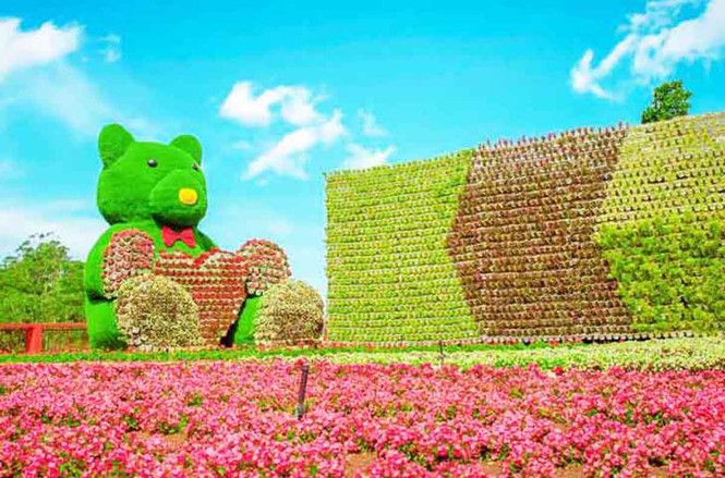 Lâm Đồng ngừng mô hình du lịch canh nông vì nhiều vi phạm - ảnh 3