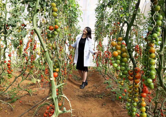 Lâm Đồng ngừng mô hình du lịch canh nông vì nhiều vi phạm - ảnh 4