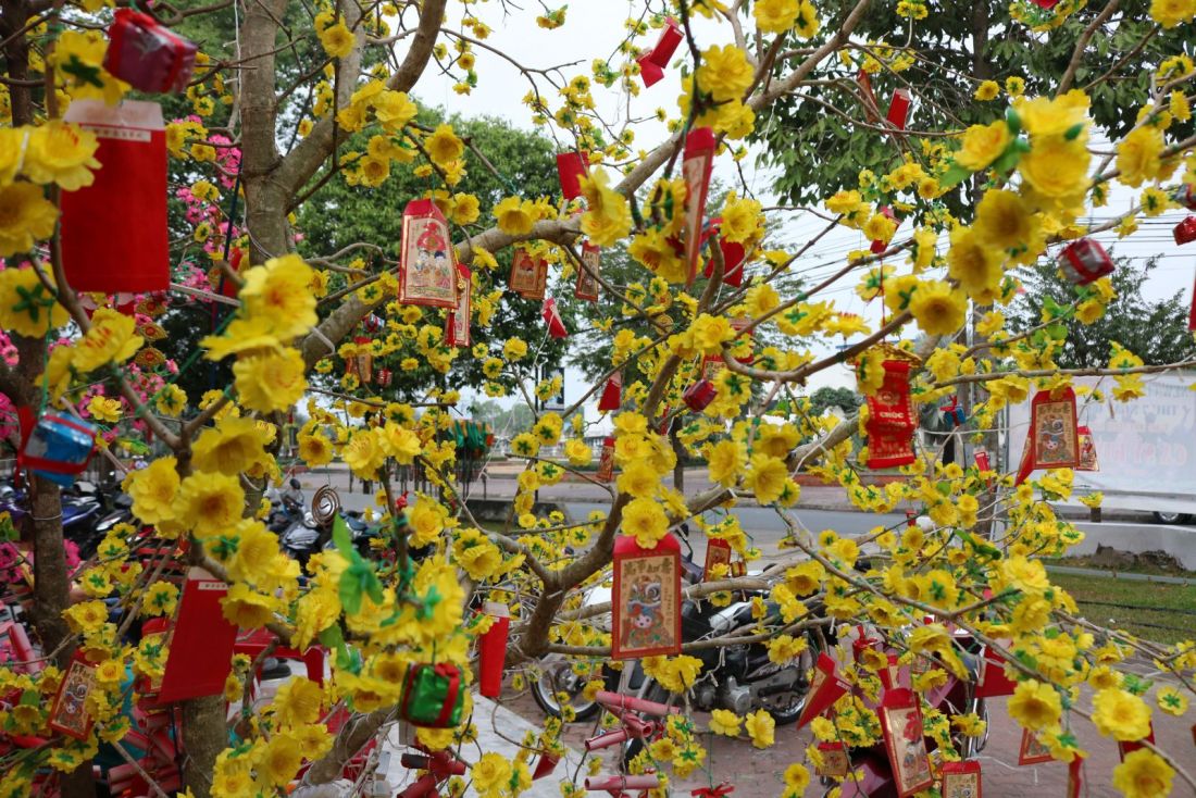 Trang trí cây mai ngày tết là một truyền thống của người Việt trong ngày Tết. Chúng tôi cung cấp các loại cây mai giả đẹp và chất lượng để giúp bạn tạo ra một không gian trang trí đầy ấn tượng.