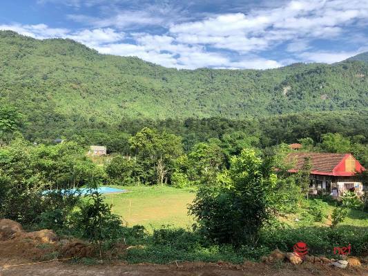 Những chuyện ít ai ngờ đến khi mua đất huyện làm nhà vườn