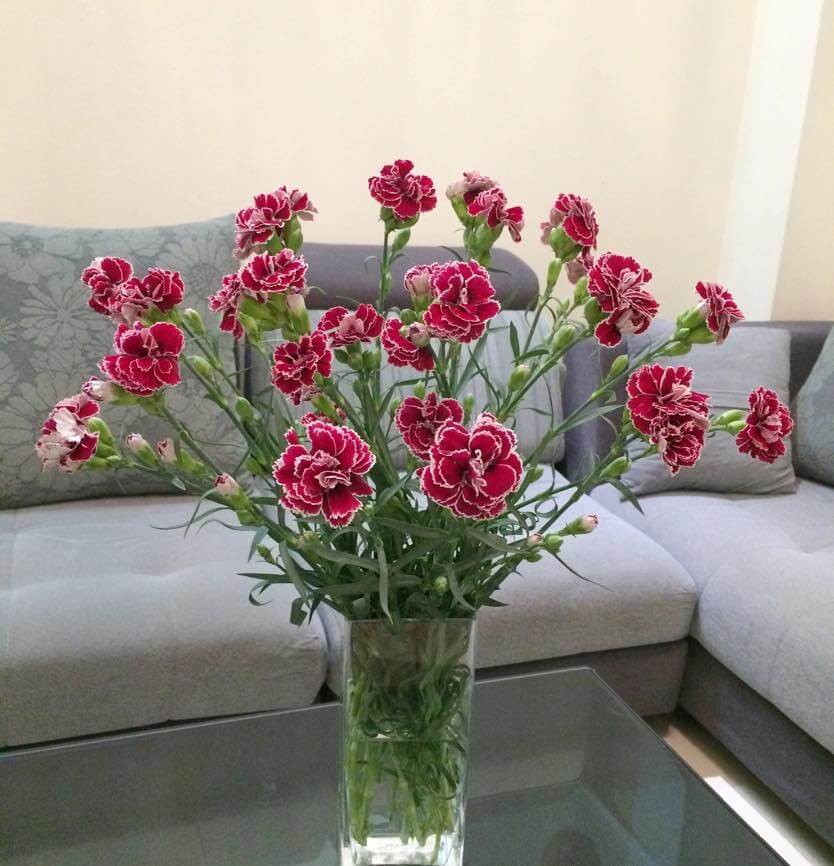 Cách chọn hoa trang trí phòng khách ngày tết