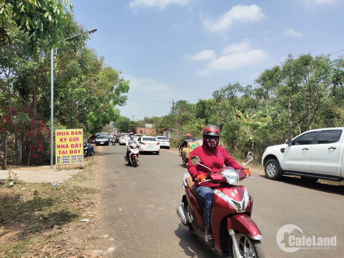 Để không thành Gà trong cơn sốt đất Để không thành Gà trong cơn sốt đất