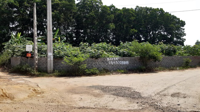 Chuyên gia cảnh báo rủi ro từ đồng sở hữu nhà đất