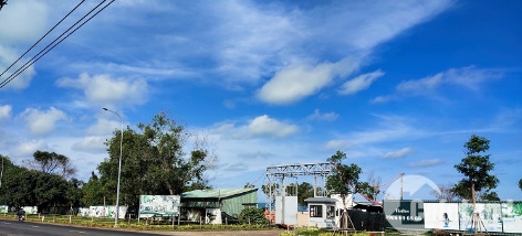 Dự án Biển Xanh của đại gia ngành mì gói